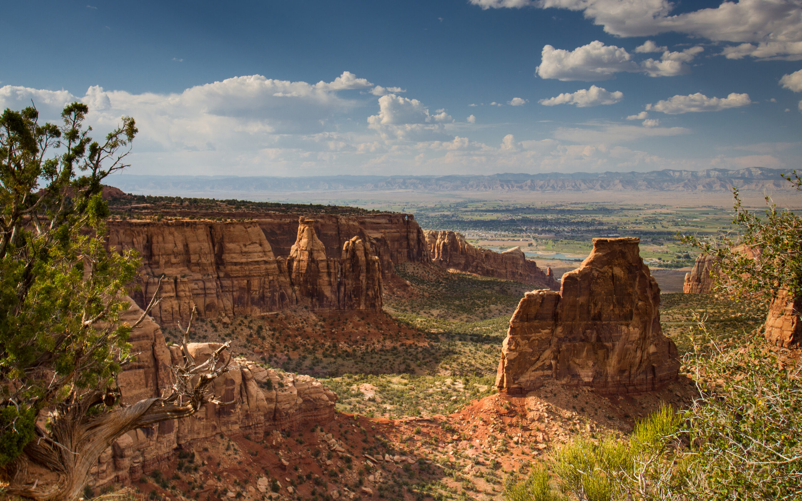 Colorado National Monument, photo by Todd Petrie.